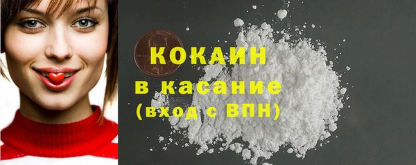 гашик Гусев