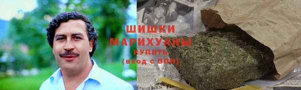 мдпв Гусь-Хрустальный
