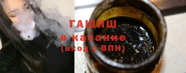 гашик Гусев