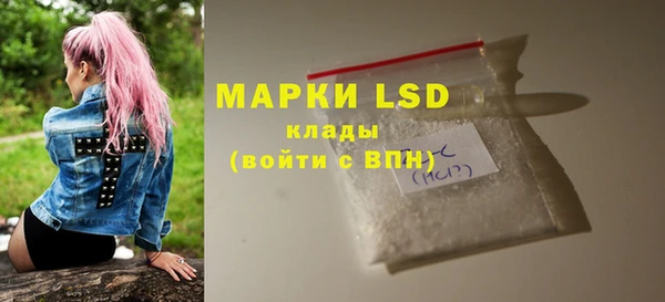 гашик Гусев