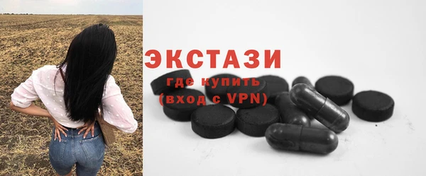 гашик Гусев