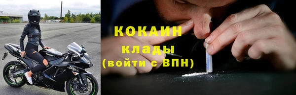 бошки Дмитриев