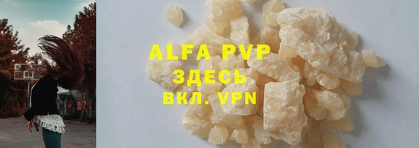 гашик Гусев
