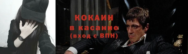 мдпв Гусь-Хрустальный