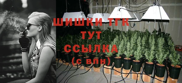 мдпв Гусь-Хрустальный