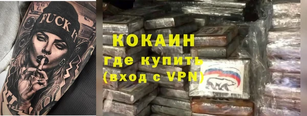 мдпв Гусь-Хрустальный