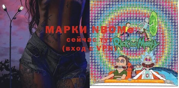 гашик Гусев