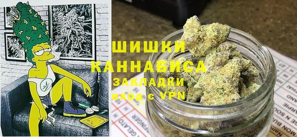 мдпв Гусь-Хрустальный