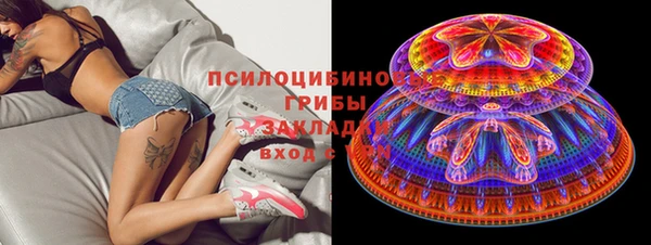 мдпв Гусь-Хрустальный