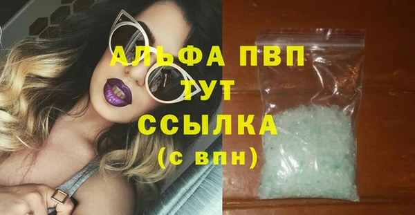 мдпв Гусь-Хрустальный