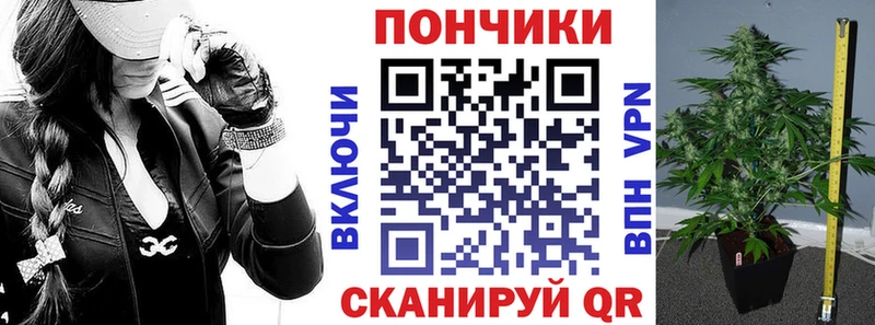 hydra как войти  Струнино  Конопля планчик 
